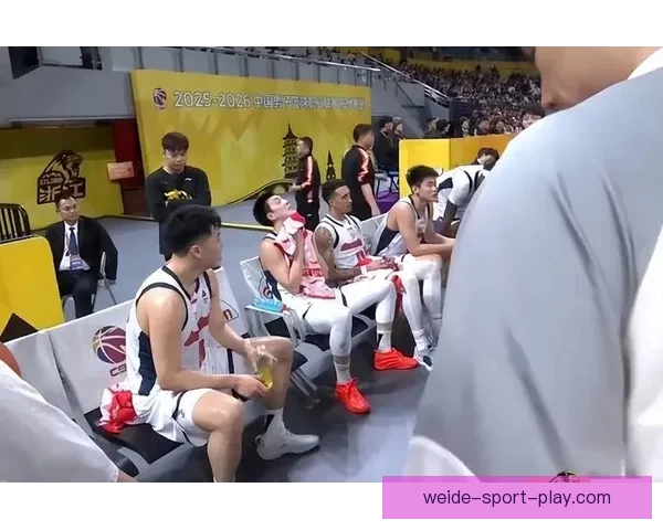 深圳男篮提前八轮九连胜两年后重返季后赛锁定席位