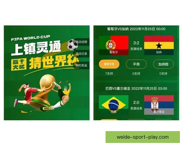世界杯精彩竞猜赛事现场直播与实时分析全攻略